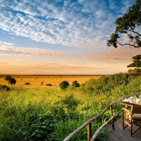Planning Your First Tanzania Safari: The Ultimate Guide