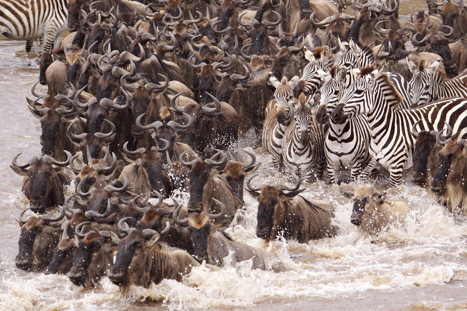 7-Day Great Wildebeest Migration Safari