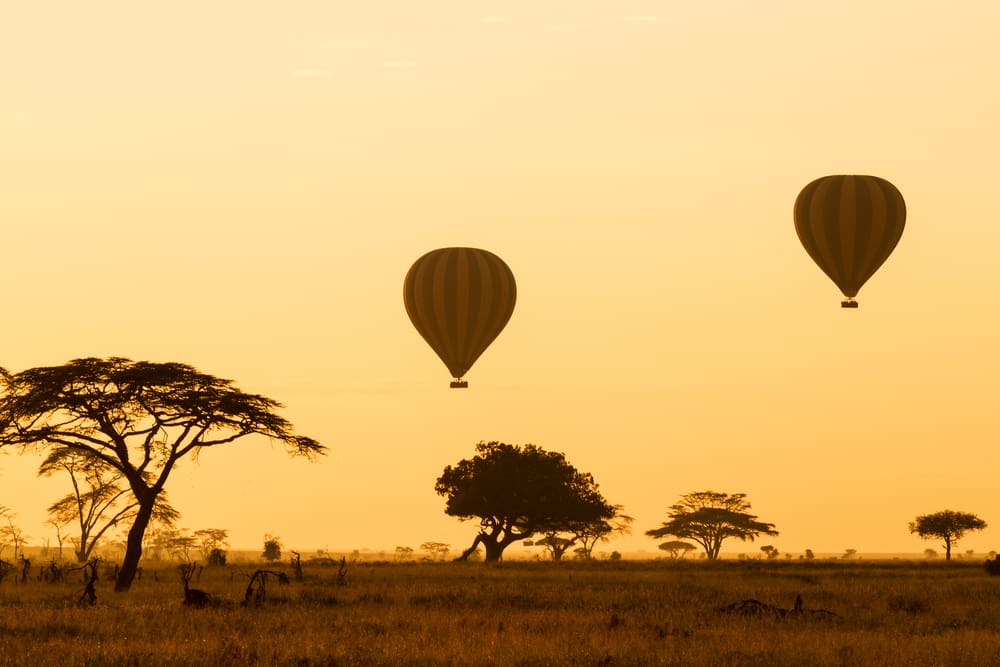 5-Day Tanzania Hot-Air Balloon Safari