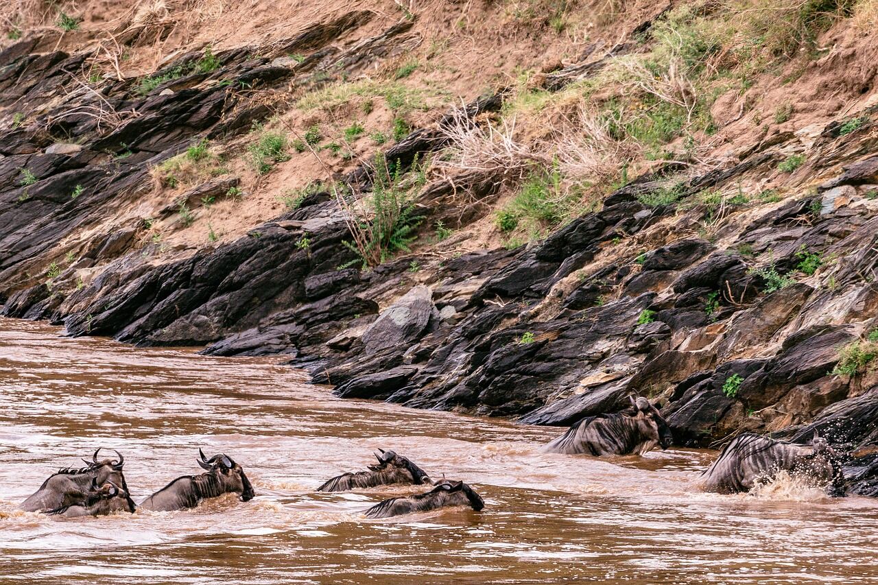 10-Day Luxury Tanzania & Zanzibar Safari | Premium Wildlife & Beach Escape